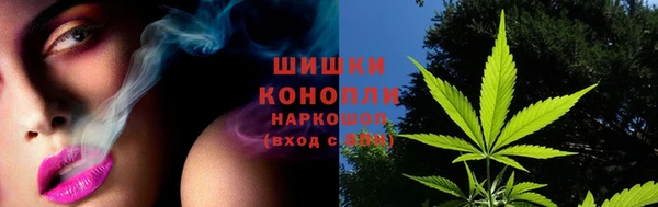 стаф Белоозёрский