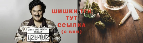 стаф Белоозёрский