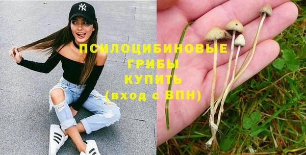 стаф Белоозёрский