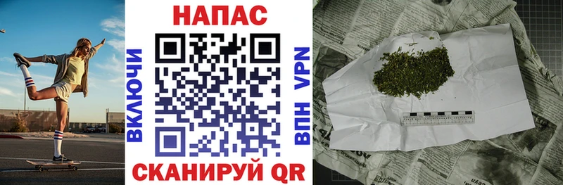 darknet Telegram купить наркоту Бузулук Шишки марихуана гибрид